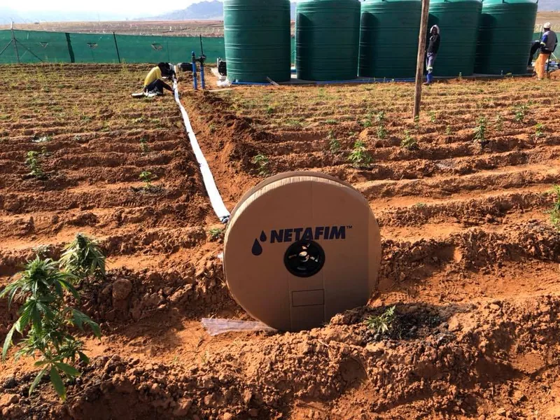 Manguera FlexNet de 2" con Salidas de 1/2" (Rollo 100 m) — foto 2