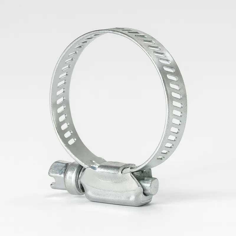 Abrazadera Sin Fin 1" con Tornillo — foto 2