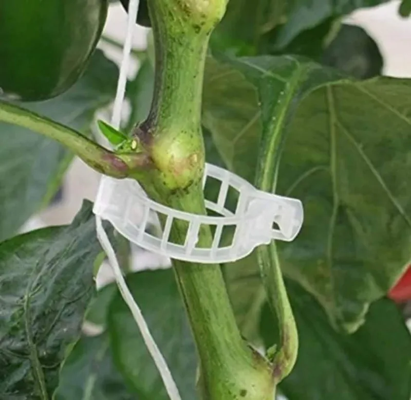 Protector de Cultivo Clip Plus – Caja con 10,000 Piezas