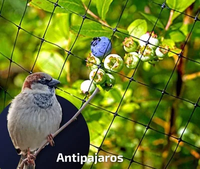 Malla Antipájaros Cuadro 2x2 cm – Rollo 5 x 200 m