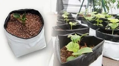 Bolsa Fast Grow Negro/Blanco 30 L — Paquete 250 Piezas